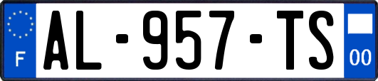 AL-957-TS