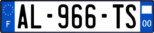 AL-966-TS