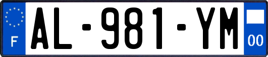 AL-981-YM