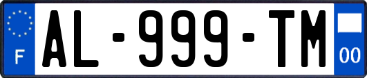 AL-999-TM
