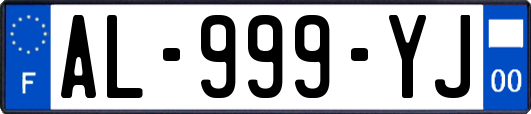 AL-999-YJ