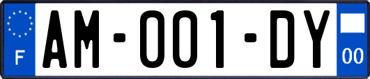 AM-001-DY