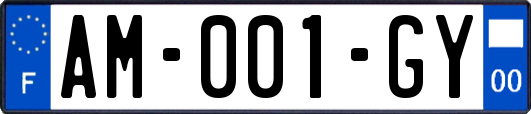 AM-001-GY