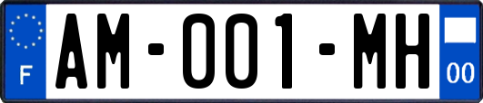 AM-001-MH