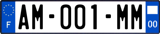 AM-001-MM