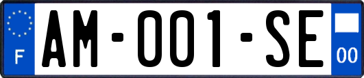 AM-001-SE