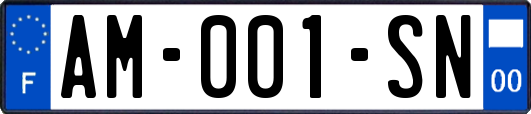 AM-001-SN