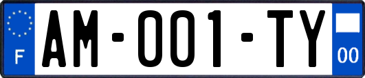 AM-001-TY