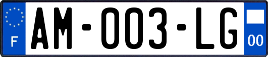 AM-003-LG