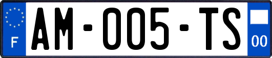 AM-005-TS