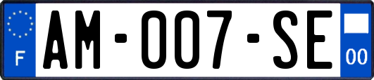 AM-007-SE