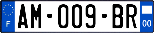 AM-009-BR