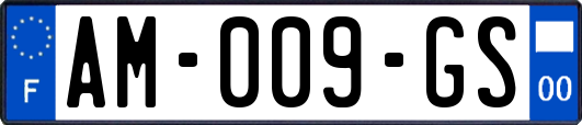 AM-009-GS