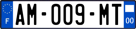 AM-009-MT