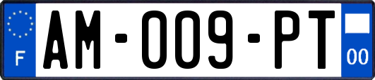 AM-009-PT