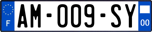 AM-009-SY