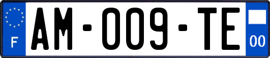 AM-009-TE