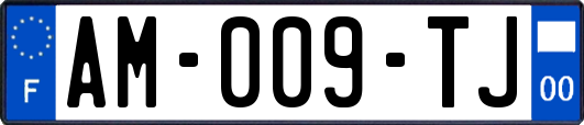 AM-009-TJ