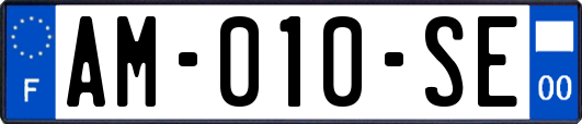 AM-010-SE