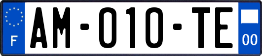 AM-010-TE