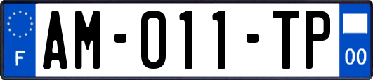 AM-011-TP