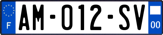 AM-012-SV