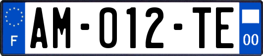 AM-012-TE