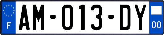 AM-013-DY