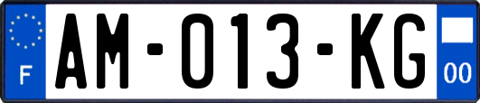 AM-013-KG