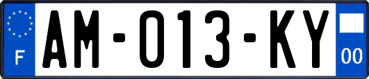 AM-013-KY