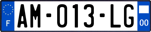 AM-013-LG
