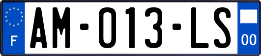 AM-013-LS