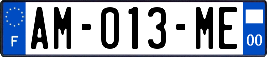 AM-013-ME