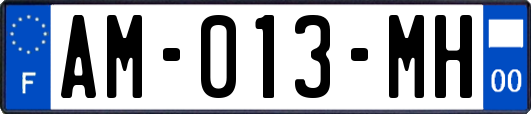 AM-013-MH