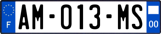 AM-013-MS