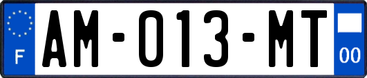 AM-013-MT