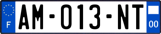 AM-013-NT