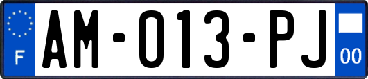 AM-013-PJ