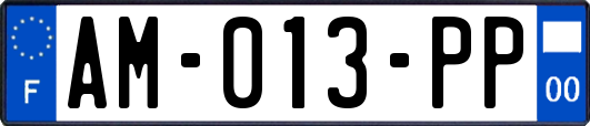 AM-013-PP