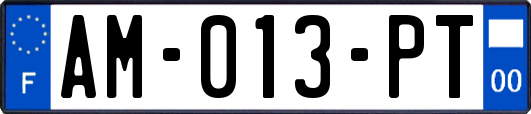 AM-013-PT