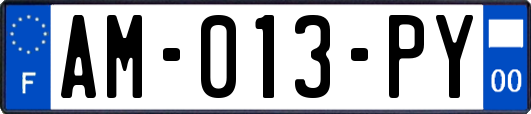AM-013-PY