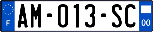 AM-013-SC