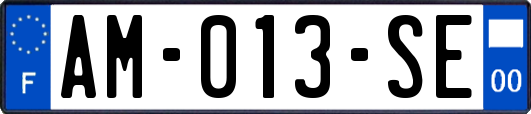 AM-013-SE
