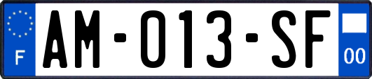 AM-013-SF