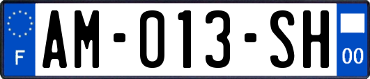 AM-013-SH