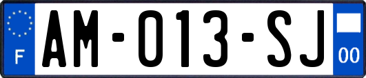 AM-013-SJ