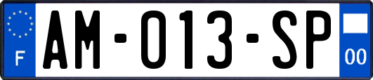 AM-013-SP
