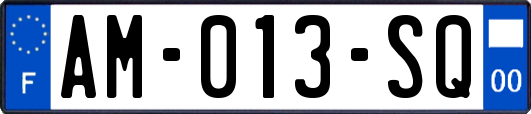 AM-013-SQ