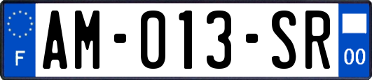 AM-013-SR
