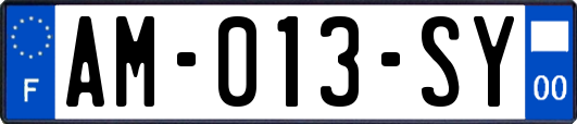 AM-013-SY